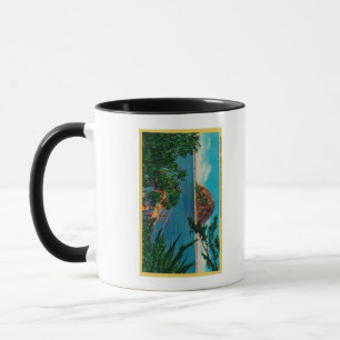 Mug Roche de Morro dans le comté de San Luis_obispo