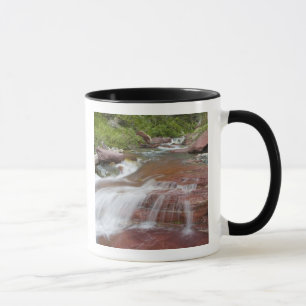 Mug Rocher rouge dans Baring Creek dans Glacier Nation