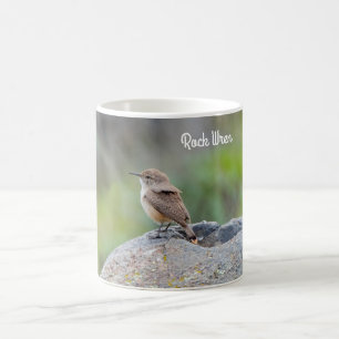 Mug Rock Wren