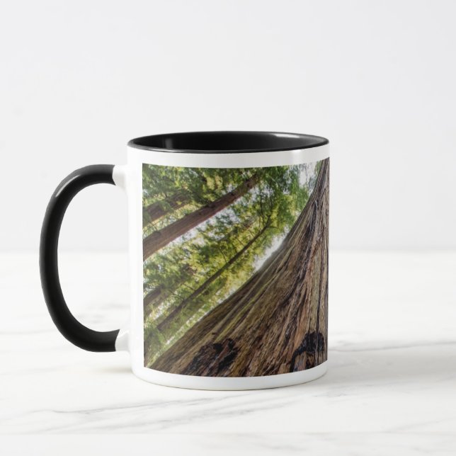 Mug Roosevelt Grove (Gauche)