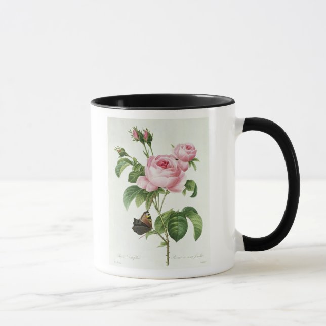 Mug Rosa Centifolia (Droite)