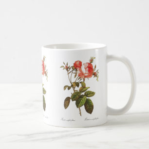 Mug Rosa Centifolia Foliacea
