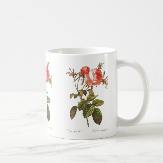Mug Rosa Centifolia Foliacea (Droite)