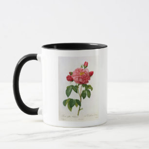 Mug Rosa Gallica Aurelianensis