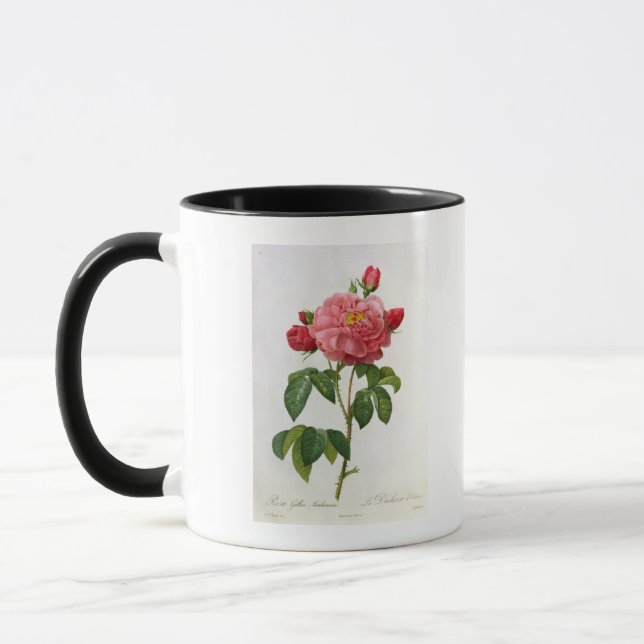 Mug Rosa Gallica Aurelianensis (Gauche)