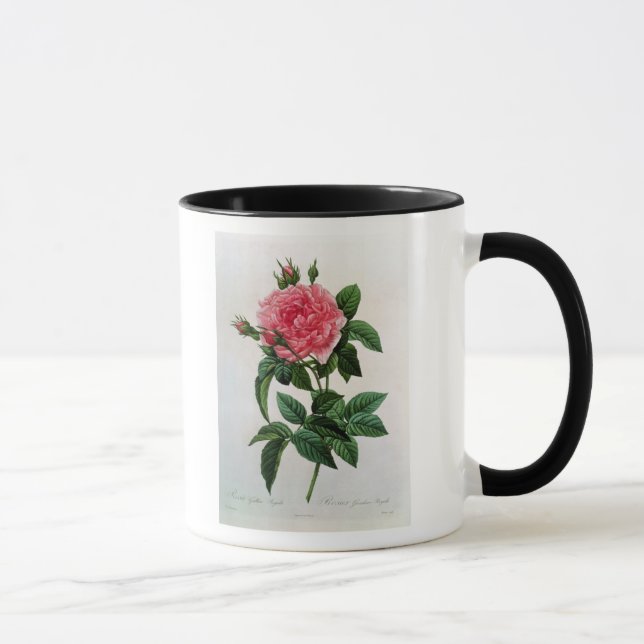 Mug Rosa Gallica Regallis (Droite)