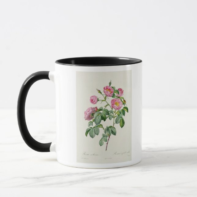 Mug Rosa Mollissima, des 'roses de Les (Gauche)