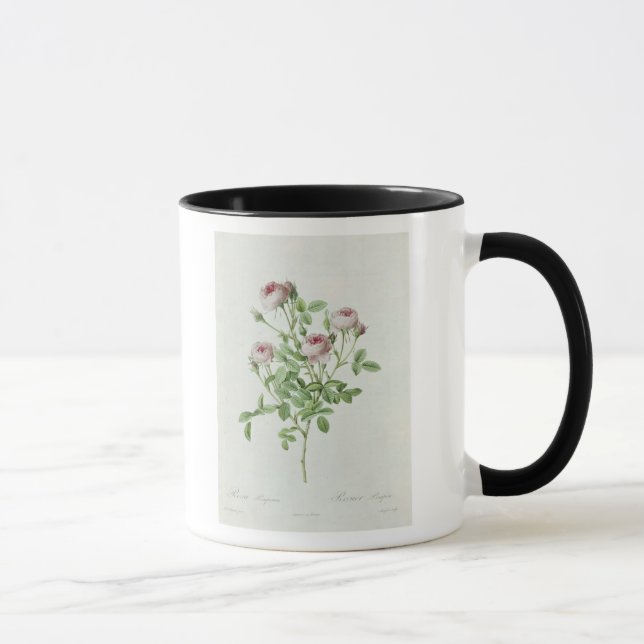 Mug Rosa Pomponia, des 'roses de Les (Droite)