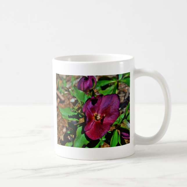 Mug Rose de carême rose Bourgogne (Droite)