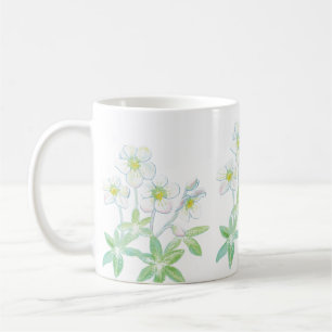 Mug Rose de Noël, Helleborus niger