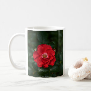 Mug Rose rouge P6568