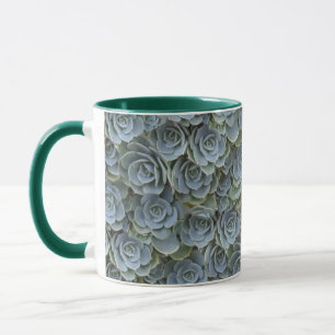 MUG ROSETTES DE PLANTE SUCCULENTE GRIS VERT
