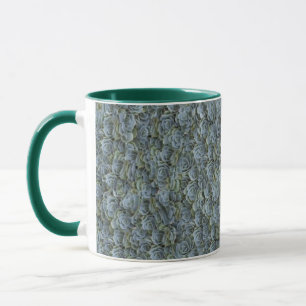 MUG ROSETTES DE PLANTE SUCCULENTE GRIS VERT