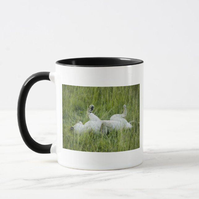 Mug Roulement de lion dans l'herbe grande, Afrique (Gauche)