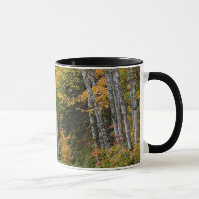 Mug Route de gravier jonchée de feuilles avec couleurs (Droite)