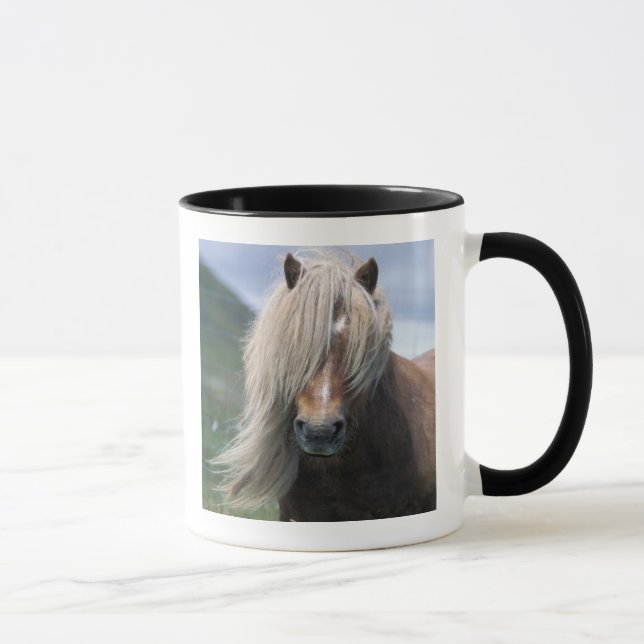 Mug Royaume-Uni, Écosse, îles Shetland, poney Shetland (Droite)