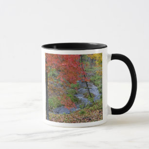 Mug ruisseau de Coles bordé d'érables d'automne près d