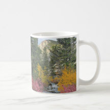 Ruisseau en fleurs