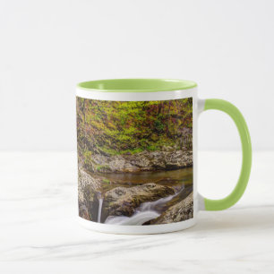 Mug Ruisseau forestier dans les Great Smoky Mountains