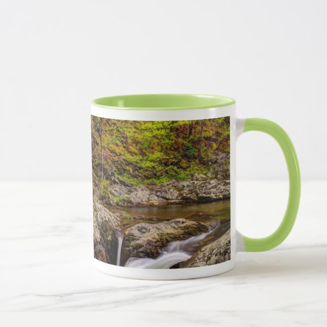 Mug Ruisseau forestier dans les Great Smoky Mountains (Droite)