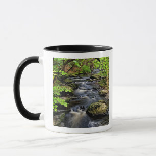 Mug Ruisseau traverse la forêt