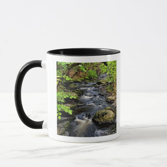 Mug Ruisseau traverse la forêt (Gauche)