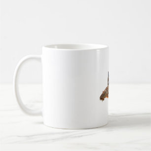 Mug S est destiné à Suckermouth Catfish