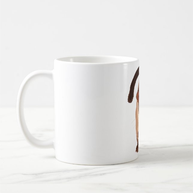 Mug S est pour la civette de palme à dents petites (Gauche)