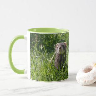 Mug Sable Weasel Photo Cute Ferret
