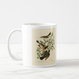 Mug Sage Thrasher and Varied Thrush, Audubon's Birds