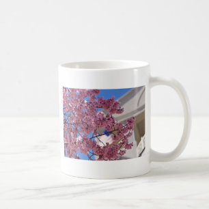 Mug Sakura Cherry Blossoms