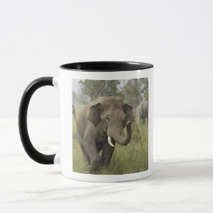 Mug Salutation des éléphants d'Asie indienne