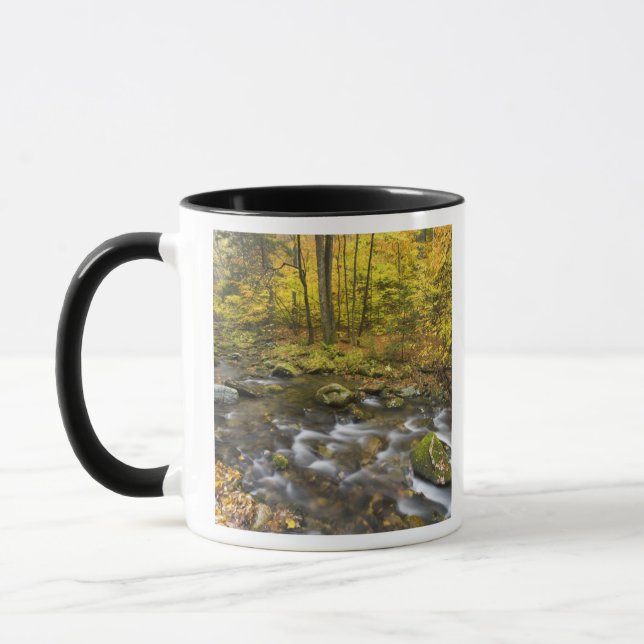 Mug Sanderson Brook.  Forêt d'État de Chester-Blanford (Gauche)