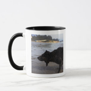 Mug Santa Barbara, la Californie, Etats-Unis