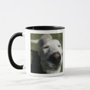 Mug Santa Fe, Nouveau-Mexique