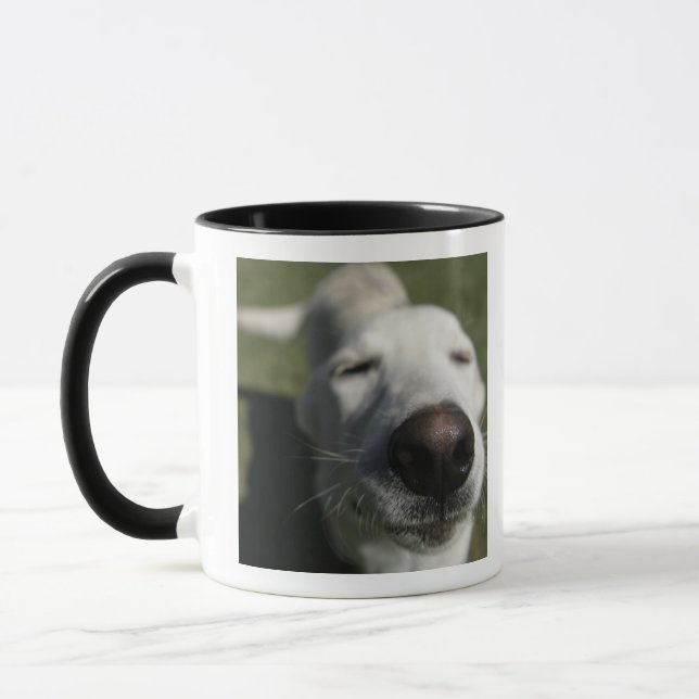 Mug Santa Fe, Nouveau-Mexique (Gauche)