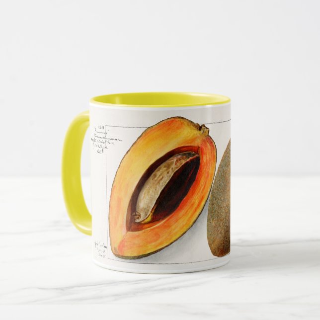 Mug Sapote (Devant gauche)