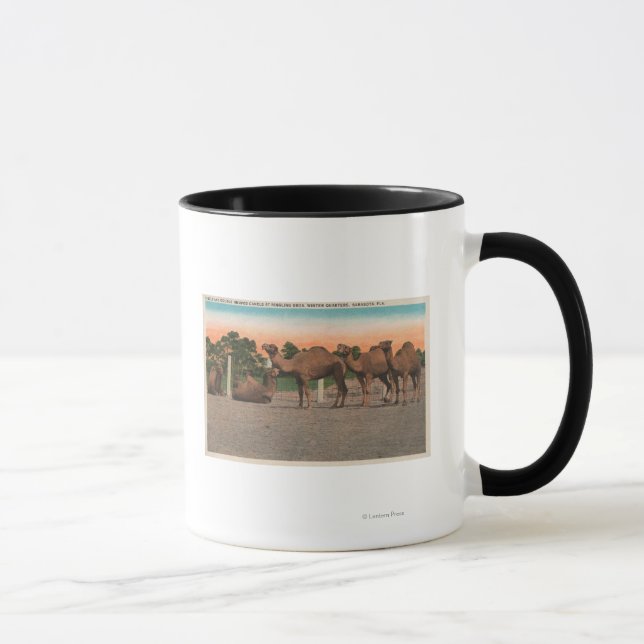 Mug Sarasota, Floride - Camels à Ringling Bros (Droite)
