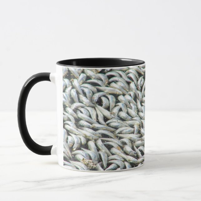 Mug Sardines-King Harbour Redondo Beach_ (Gauche)