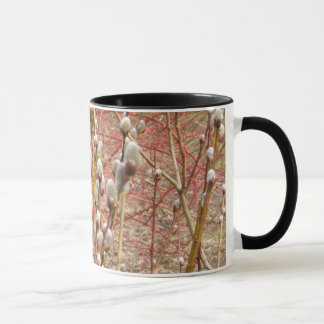 Mug saules de chat dans le printemps