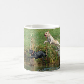 Mug Sauter de laboratoires