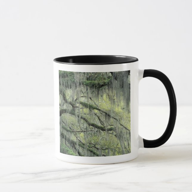 Mug Savannah, Géorgie, arbre de chêne vivant drapé de (Droite)