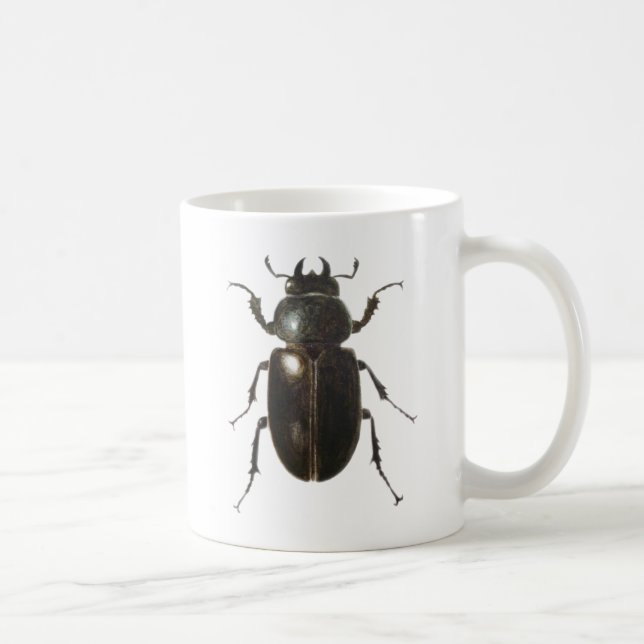 Mug Scarabée de mâle 2011 (Droite)