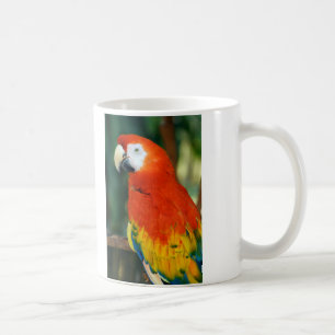 Mug Scarlet Macaw