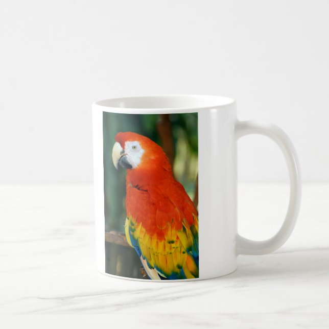 Mug Scarlet Macaw (Droite)