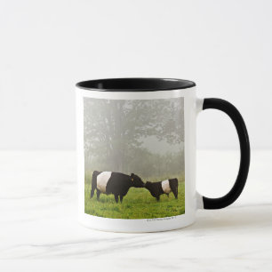 Mug Scène brumeuse de la vache ceinturée à Galloway