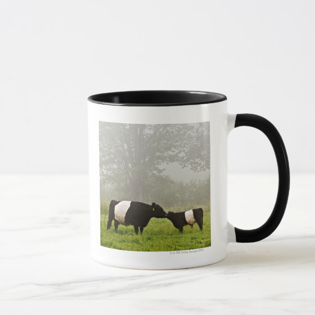 Mug Scène brumeuse de la vache ceinturée à Galloway (Droite)