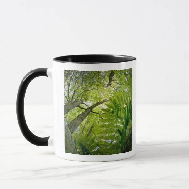 Mug Scène forestière dans le parc national d'Acadia, M (Gauche)
