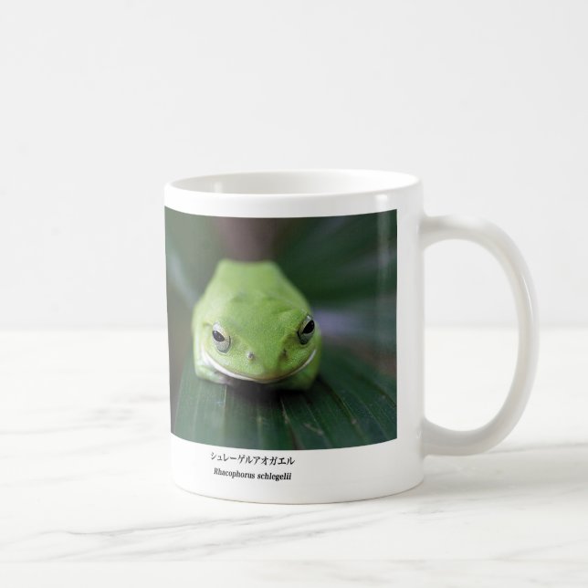 Mug Schlegel's green tree frog (Droite)