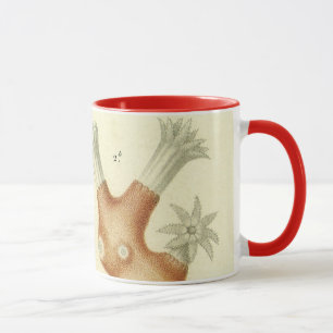 Mug Science Textbook Biologie, Corail Vintage Animaux